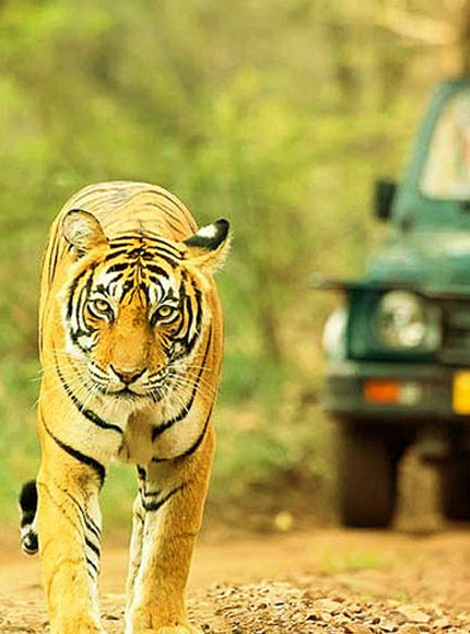 testimonial-nav_item